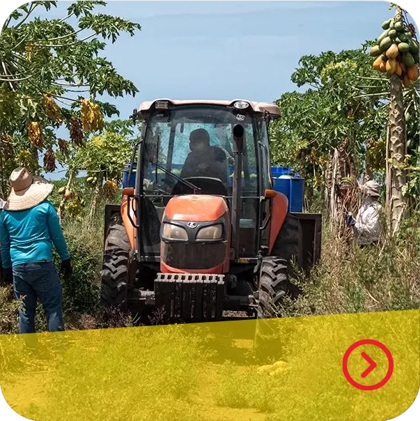 agricultura-industria Image with link to agriculture industry.